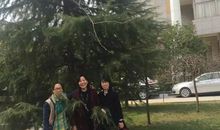 拾起时光的碎片