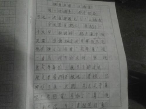 排版写作组合