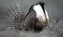 聆听地球的心声