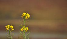 面对已逝的时光我流泪了