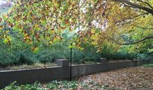 留在我心底的秋景