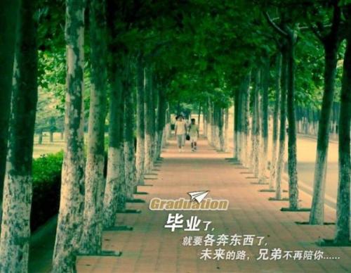 不寻常的派对
