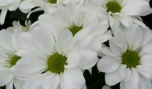 那个他我永远的记忆