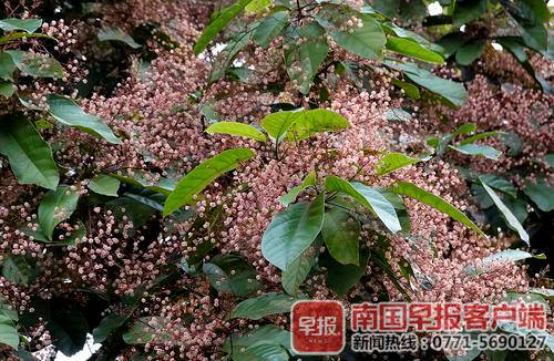 另见春天和春天