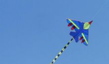 风筝，风筝，风之子！