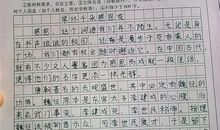 拾起心灵的珍珠作文