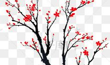 我最喜爱的植物梅花