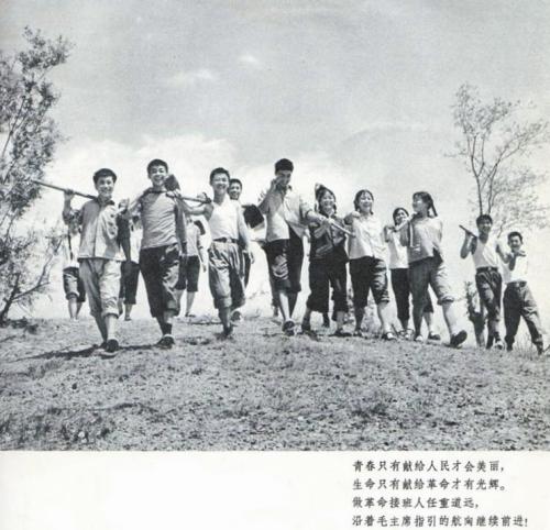 令人难忘的劳动力