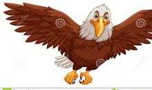 《鸡群里的老鹰》读后感