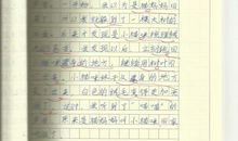 我的新发现作文300字