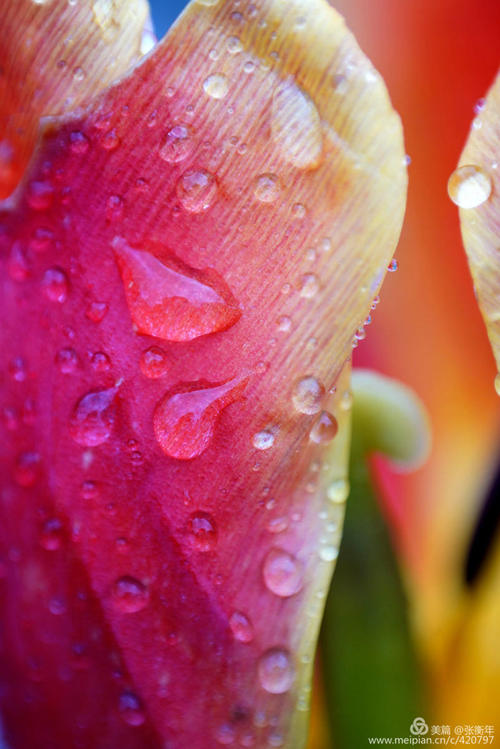 春雨滴水