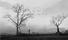 千古文章根肺腑