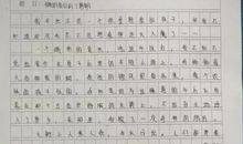 仰望星空脚踏实地作文