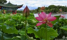 我的世界因你春暖花开