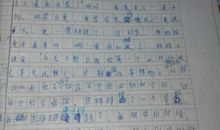 他怎么了作文