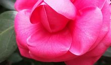 共享时代的别样情怀