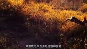 由于放慢速度，生活很令人兴奋