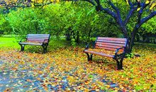 今天我读懂了母爱