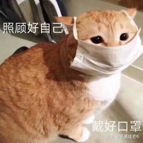 精神追求使生活更美好