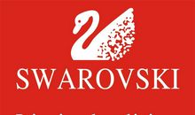 小乌龟和天鹅_250字