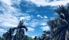 来自远方的同学