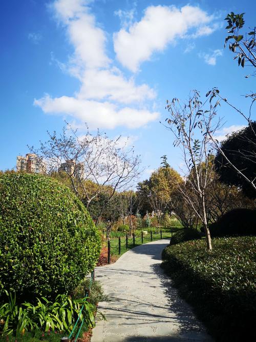 阅读是一个美丽的风景