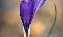 生活因静心而精彩