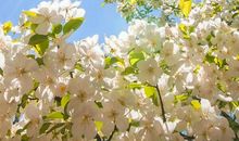 阳光不燥，微风正好