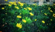 珍惜所拥有的生命