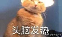 习惯了那些忙碌