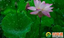 听雨也是一种享受