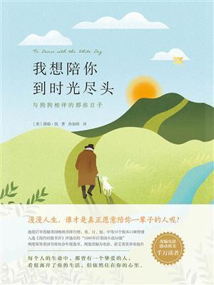 与流浪狗的日子