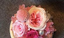 友谊是一朵永不凋零的花