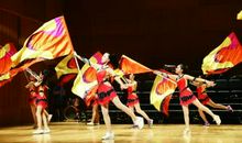 一场有趣的表演