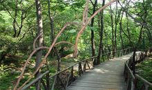 爸爸妈妈的“五指山”