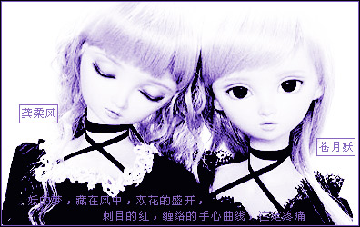 我心中的双花朵