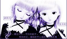 心中那朵双生花