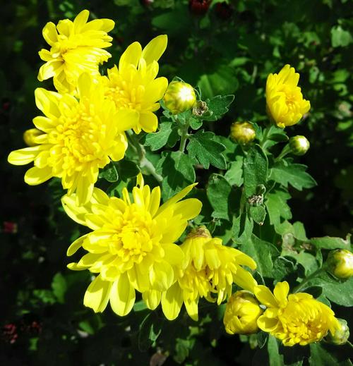 珍惜时间拥抱2020