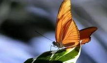 生活因真诚而精彩