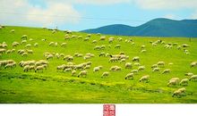 相信自己我乃风景