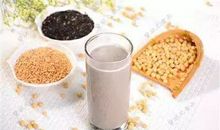 与“豆浆”一起走过的日子