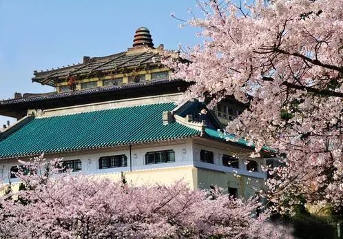 武汉回来了