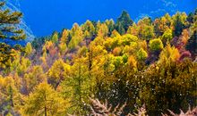 世间最美的风景就是你