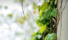 唱一曲初夏的歌