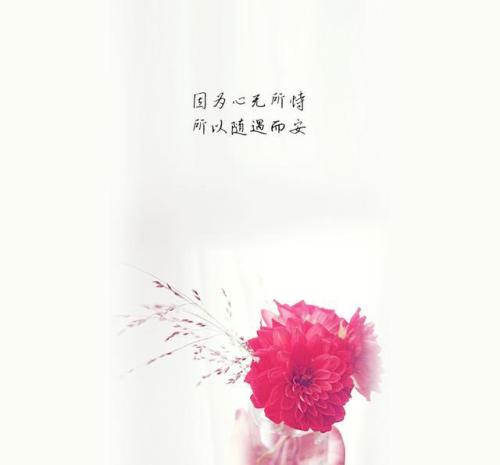 珍惜依靠