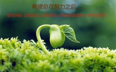 感激成为一种习惯