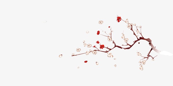 可爱的梅花