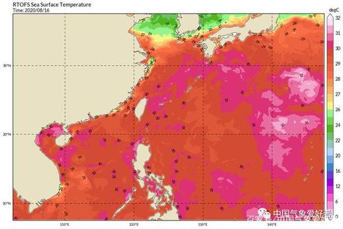 一个好的台风