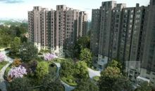 轻拾城市的阳光