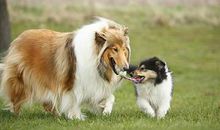 小小黑板浓浓母爱